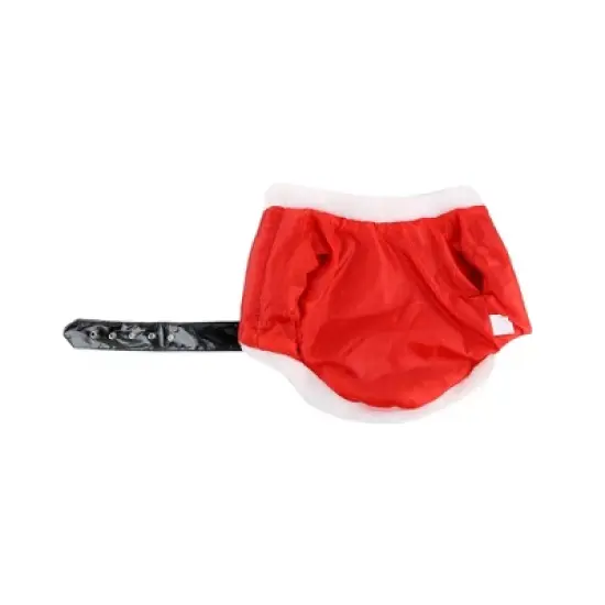 Midlee Dog Santa Claus Costume image {4}