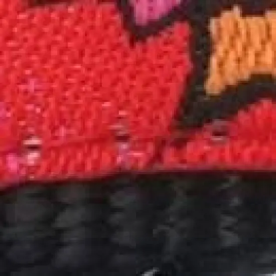 The Worthy Dog Comic Strip Dog Collar image {2}