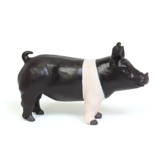 Little Buster Toys 1/16 Champion Hampshire Pig 200882 image {1}