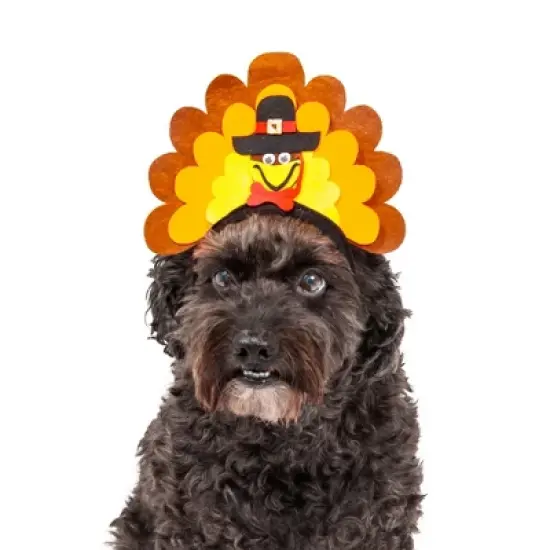 Midlee Turkey Dog Headband image {4}