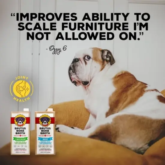 Brutus Bone Broth Hip & Joint Formula Wet Dog Food - Supplement - Beef - 32oz image {5}