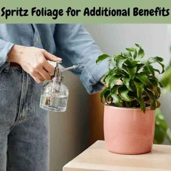 Soil Sunrise Dry Horticultural Molasses Powder, Indoor/Outdoor Gardening Soil Amendment for Plants image {7}