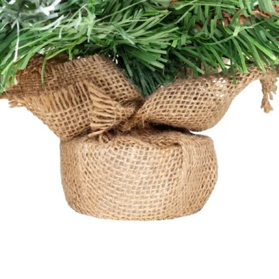 Northlight Whitecap Pine Artificial Mini Christmas Tree - 18" - Unlit image {2}