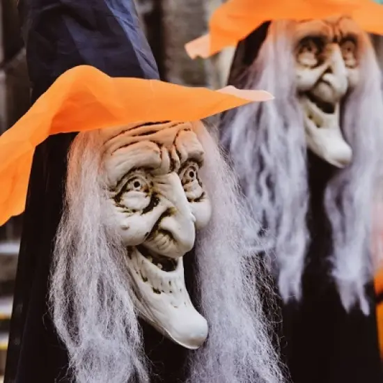 Nifti Nest 3 PCS Halloween Witches Stakes image {6}