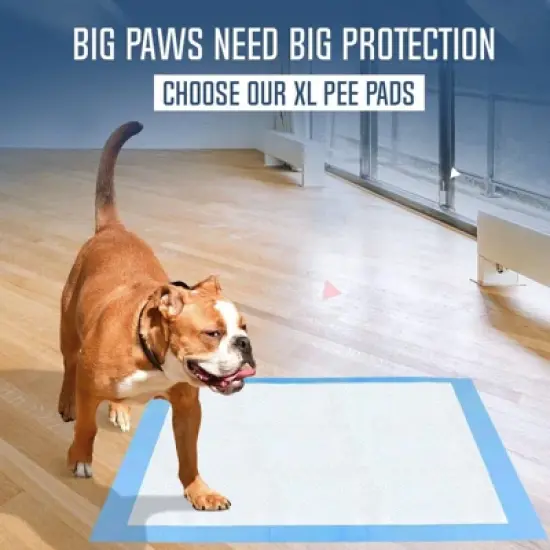 PetsWorld Gigantic (36x36 inch) Dog Training & Potty Pads image {4}