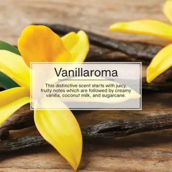 Little Trees Vanillaroma Air Freshener 6pk: Vanilla Car Freshener, Solid, Disposable, Non-Powered, Yellow, 6ct image {4}