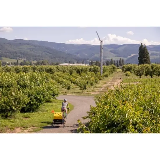 Burley Bee Double Kids' Bike Trailer image {7}