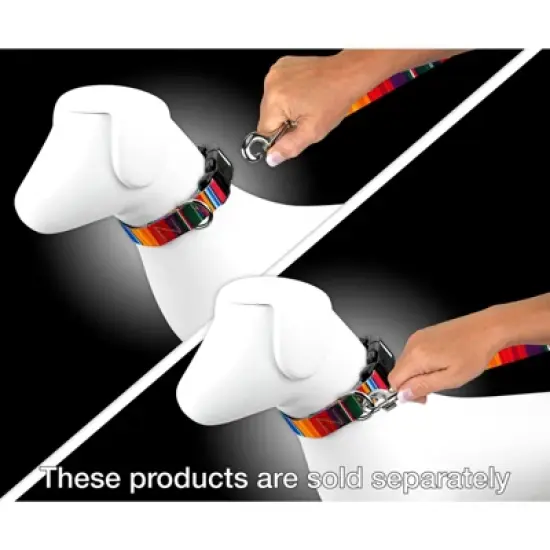 Country Brook Petz 4 Foot Dog Leash - Country and Western Collection image {1}