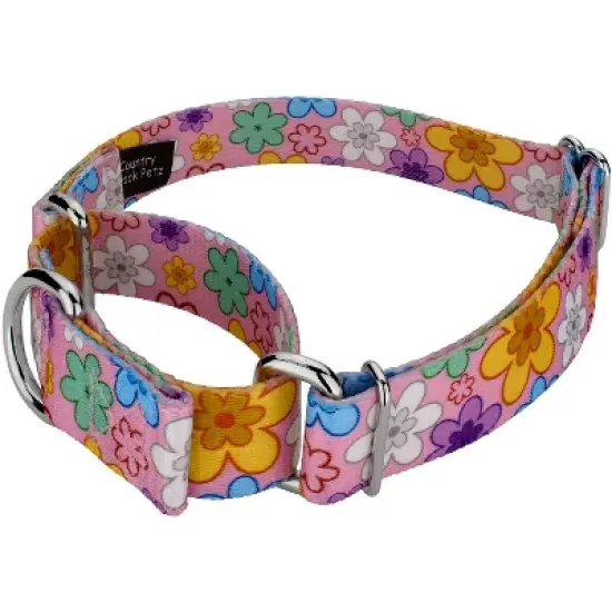 Country Brook Petz May Flowers Martingale Dog Collar image {1}