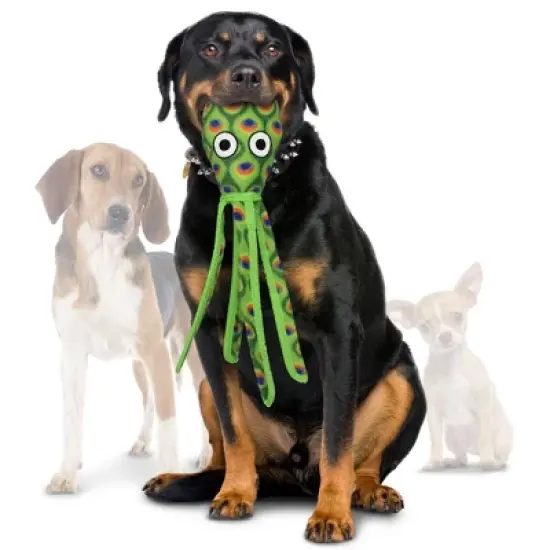 Tuffy Ocean Creature Squid Dog Toy - Green image {1}