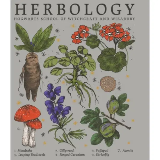Men's Harry Potter Hogwarts Herbology T-Shirt image {1}