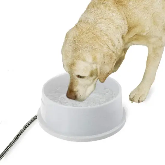 K&H Pet Products Thermal-Bowl image {1}