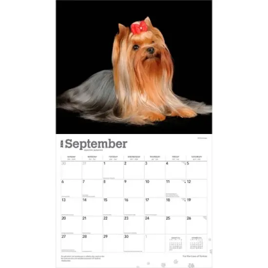 BrownTrout For the Love of Yorkshire Terriers 2026 14"x24" Hanging Deluxe Wall Calendar Plastic-Free image {3}