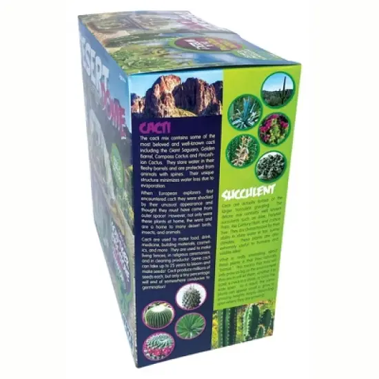Toys By Nature: Desert Dome - DIY Terrarium Kit, Grow Mini Cacti & Succulent image {5}