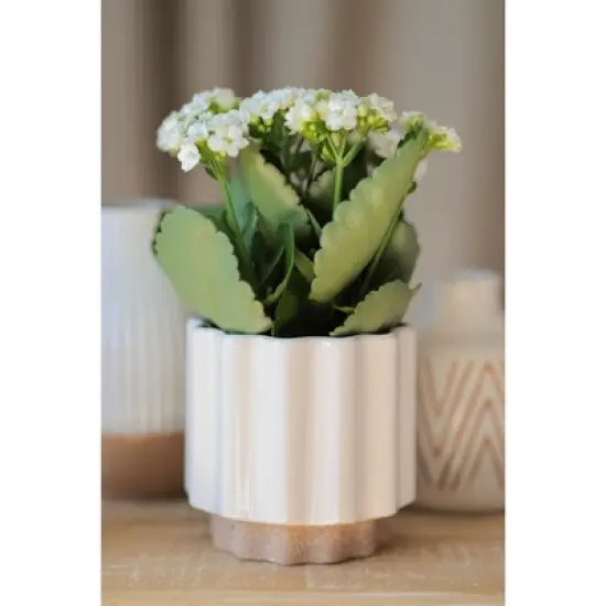 Loma White Planter Vase - Shiraleah image {1}