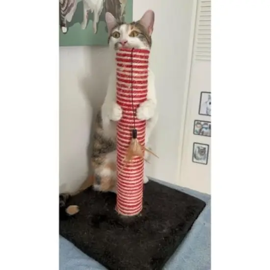 Midlee Candy Cane Christmas Cat Scratcher Post image {6}