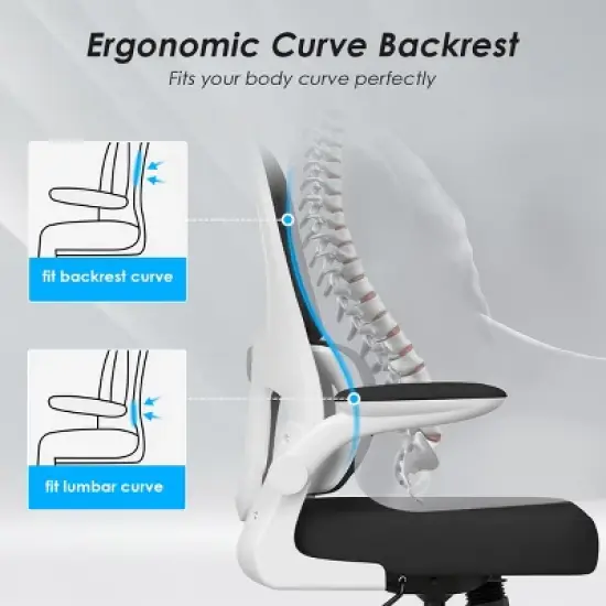 GlasFlength Task and Office Chairs with Support Armrest，Ergonomic, Adjustable，Computer Chair and Gaming Chair, White, 25.2"*25.8"*44.5" image {4}