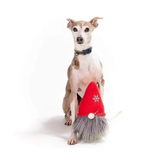 Midlee Gnome Hidden Ball Christmas Dog Toy image {2}