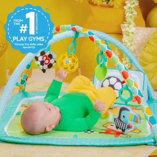 Bright Starts Oball Grip & Kick Activity Gym image {2}
