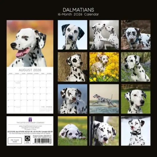 2026 Square Wall Calendar, Dalmatians, 16-Month Paw Prints Theme with 180 Reminder Stickers (12x12 In) image {3}