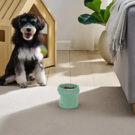Sam's Pets Tall Tulip 2.0 Pet Bowl in Glossy Mint image {9}