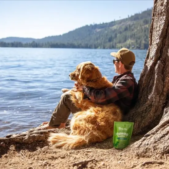 Zesty Paws Hemp Elements Behavior Calming OraStix for Dogs - Peppermint Flavor image {3}