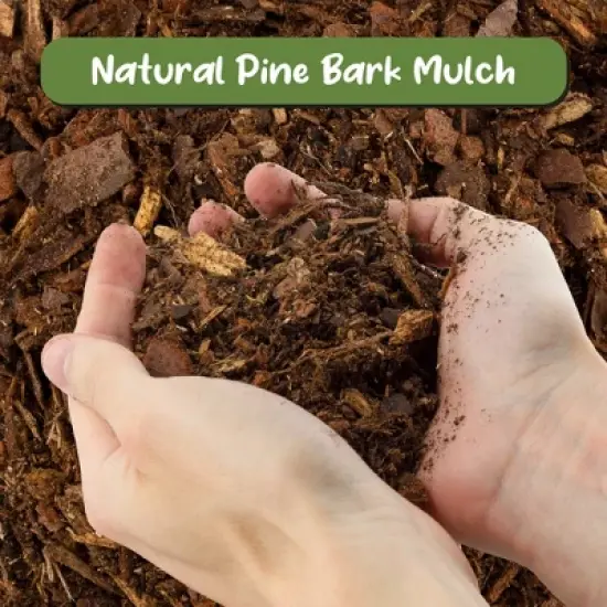 Soil Sunrise 100% Natural Pine Bark Mulch, for Container Gardening, Soil Supplement, Houseplants, Terrariums image {3}