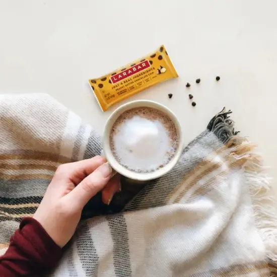 Larabar Peanut Butter Chocolate Chip Protein Bar image {2}