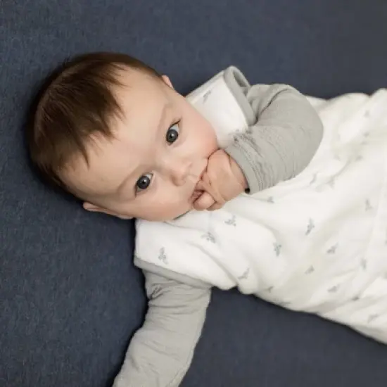 Burt's Bees Baby&reg; Organic Jersey Solid Crib Sheet image {2}