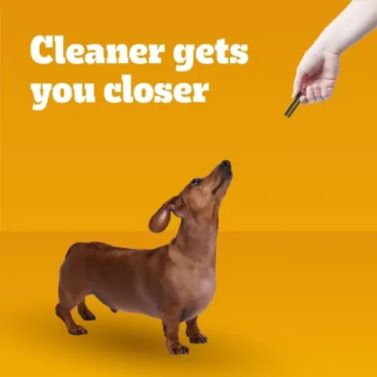 Pedigree Dentastix Dental Dog Treats with Peppermint for Small Dog image {4}