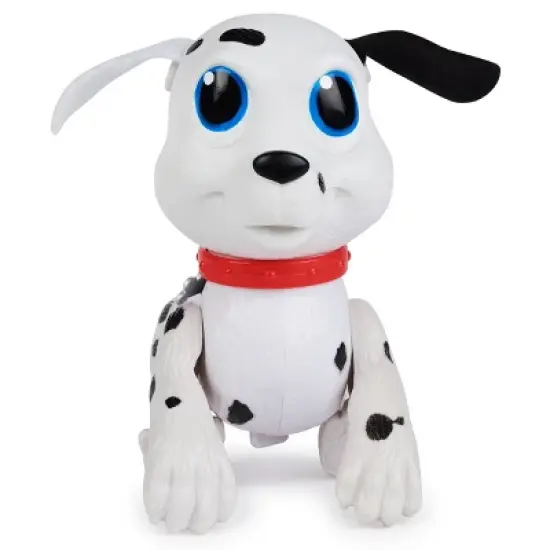 Paddle Tails - Sun Squad&trade;: Dive Toys for Pool Games, Ages 4+ image {4}