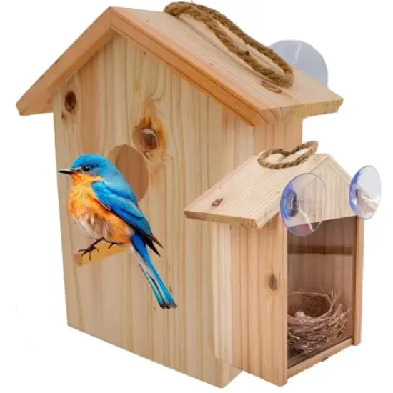 5 Star Super Deals See Through Wooden Window Bird house w/ Large Suction Cups, Hanging Lanyard Rope Birdhouse - Spy Window Nest Box image {9}