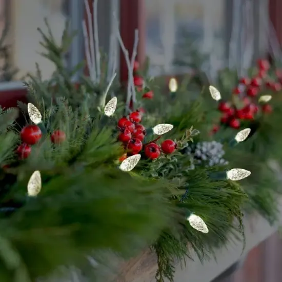 Philips 50ct LED Solar Faceted C6 String Lights Warm White with Green Wire image {1}