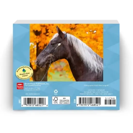 Browntrout 2024 Daily Calendar 5"x6" Horse Lovers image {1}