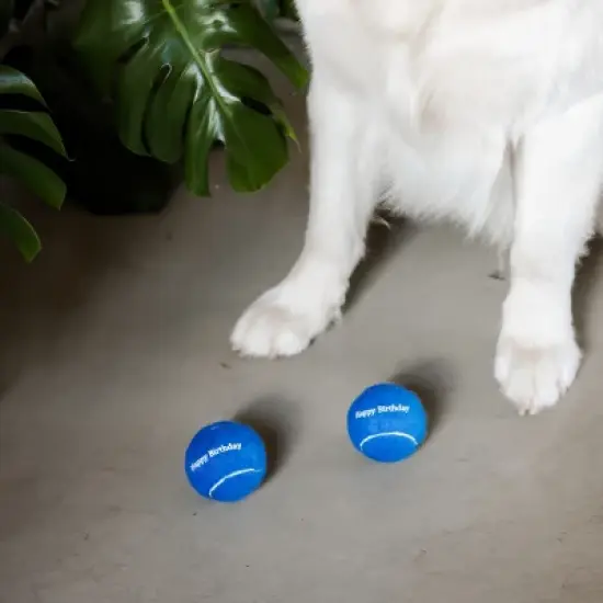 Midlee Happy Birthday Dog Tennis Balls (6 Pack) (Regular, Blue) image {2}