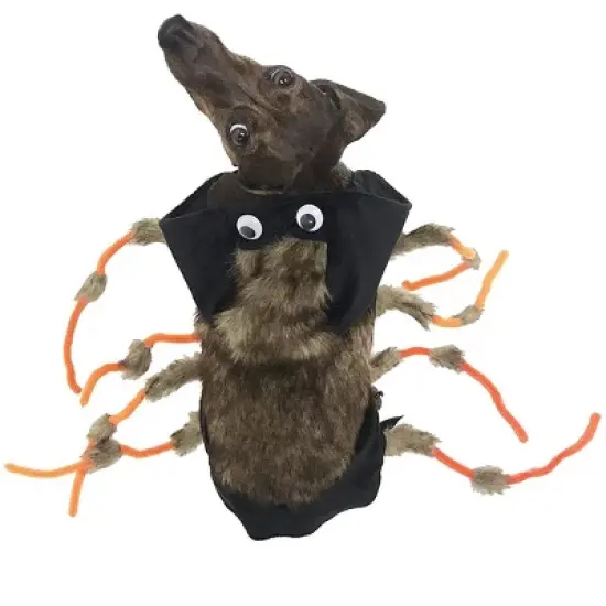 Midlee Scary Spider Costume image {3}