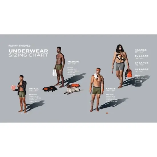 Pair of Thieves Men's Boxer Briefs 2pk image {16}