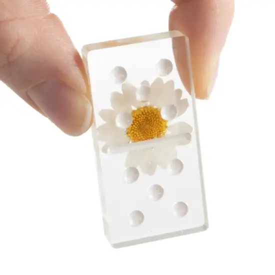 Acrylic Dominos Set - 28-Piece Domino Game with Display Box - Strategy Game, Tabletop Decoration and Modern Home Decor- Daisy image {11}