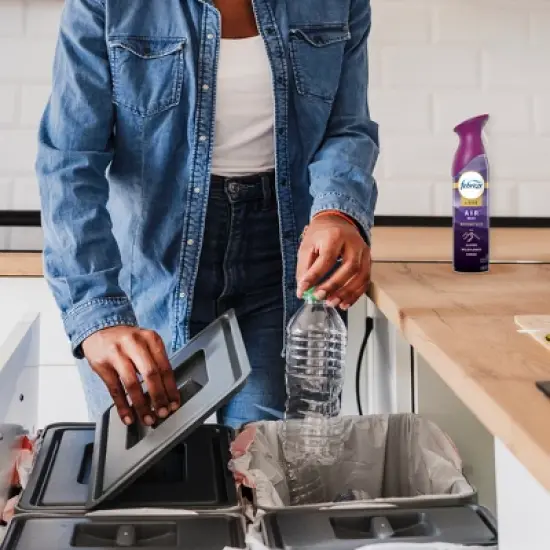 Febreze Air Effects Air Freshener - Mountain - 8.8oz image {1}