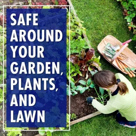 30 SECONDS Outdoor Mold, Mildew, Algae Cleaner, 1 Gallon Concentrate image {2}