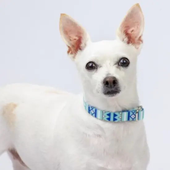 Country Brook Petz Snowy Pines Martingale Dog Collar and Leash image {3}