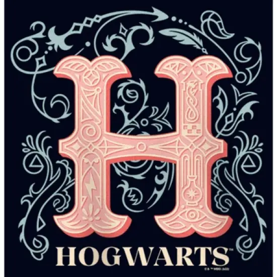 Girl's Harry Potter Decorative Hogwarts Symbol T-Shirt image {1}