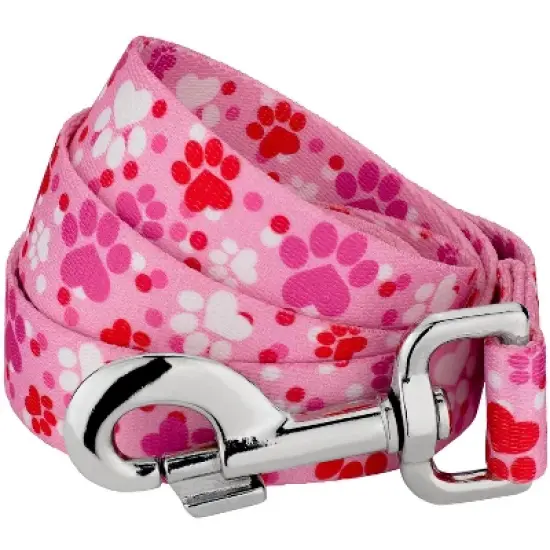 Country Brook Petz 6 Foot Dog Leash - Affection Collection image {4}