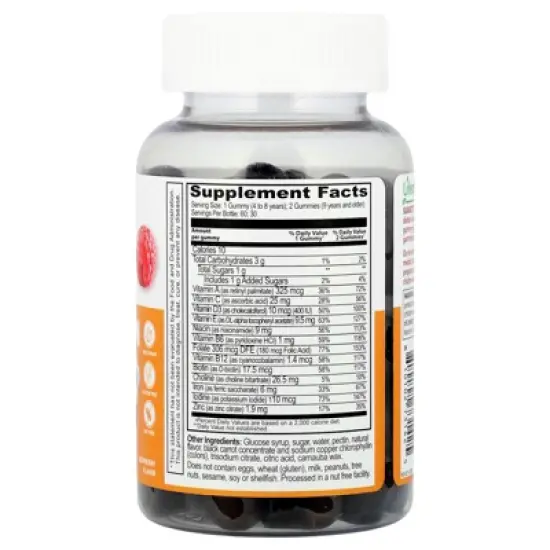 Lifeable Kids, Multivitamin With Iron Gummies, Raspberry, 60 Gummies image {1}