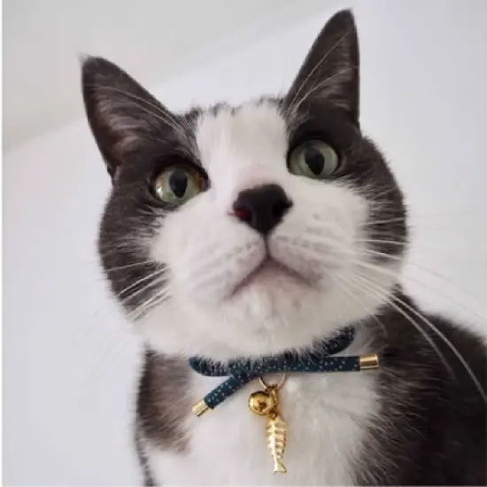 Necoichi Zen Fish Charm Cat Collar image {4}