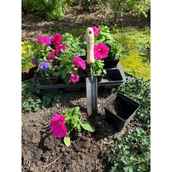 Tierra Garden Rock N Root Trowel image {3}