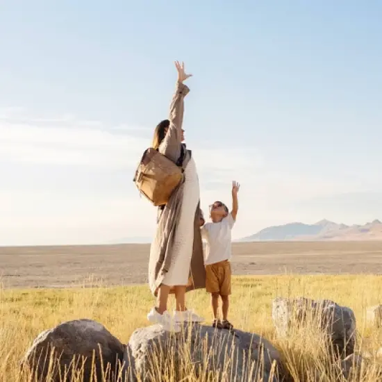 Petunia Pickle Bottom Tempo Backpack - Brioche image {7}