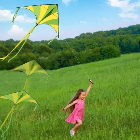 SYNCFUN 3 Packs Large Delta Kite Green, Blue and Rainbow, Easy to Fly Huge Kites for Kids with 262.5 ft Kite String for Outdoor Games image {2}