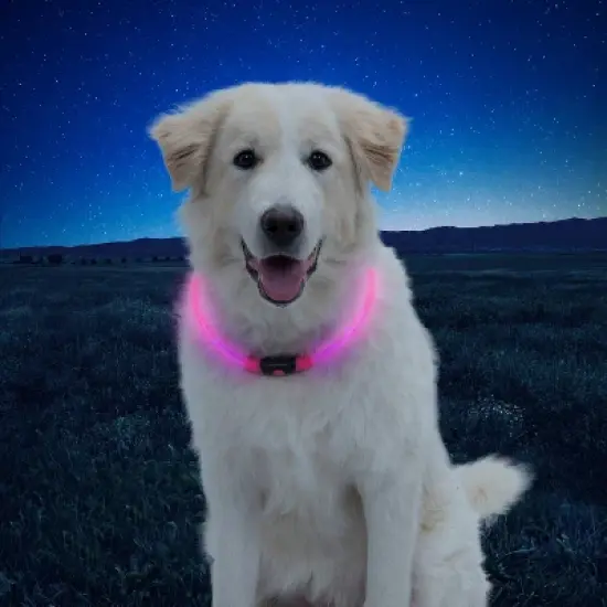 Nite Ize Howl LED Safety Necklace Adjustable Dog Collar - Pink image {6}