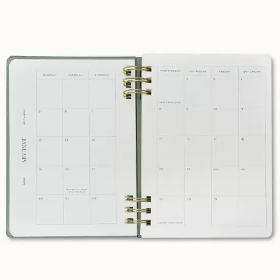 Wit & Delight 2025 Weekly/Monthly Planner 8"x5.75" Double Spiral Evergreen: Calendar, January-December, All Ages image {9}